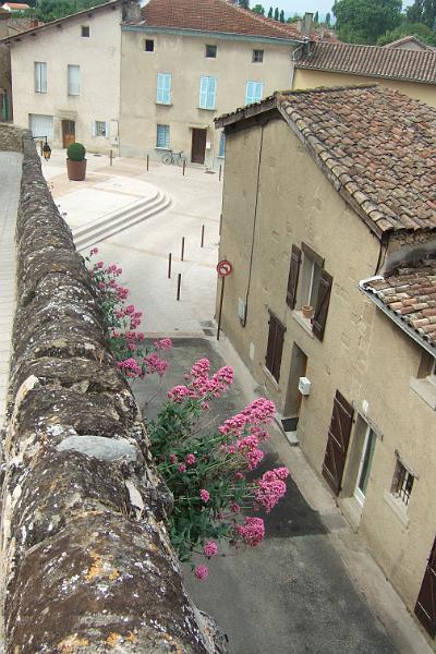 2011-05- (1304).JPG